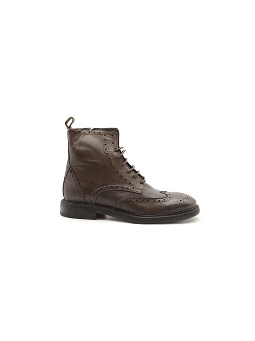 ANFIBIO WILSON TDM ZANFRINI | EG8302PTDM