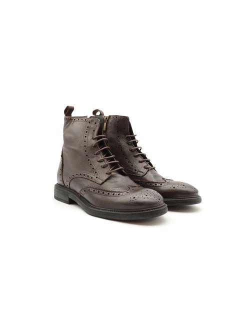 ANFIBIO WILSON TDM ZANFRINI | EG8302PTDM