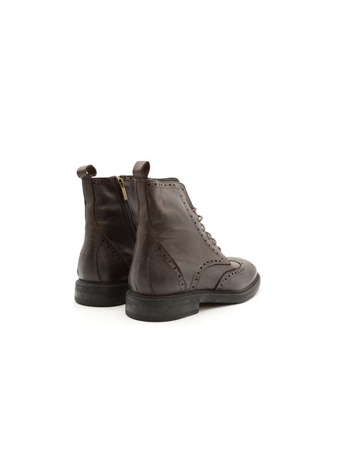 ANFIBIO WILSON TDM ZANFRINI | EG8302PTDM