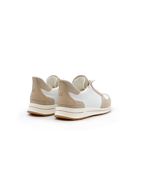 SNEAKER SLIP ON ARA | 1224836C/PB/S